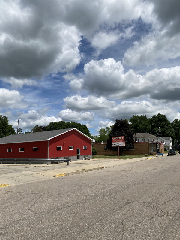 Elsie - July 12 2020 (newer photo)